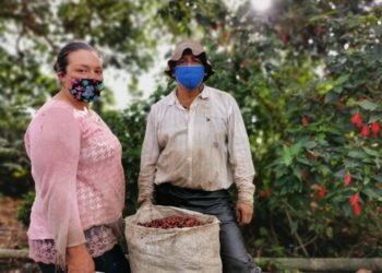 Gran éxito de las lecciones cafeteras en Colombia