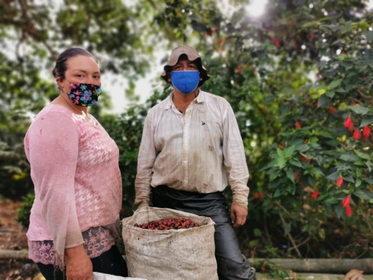 Gran éxito de las lecciones cafeteras en Colombia