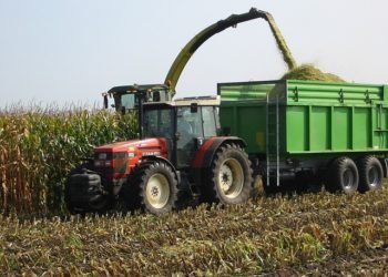 Crece la agroindustria de cereales, leguminosas y soya