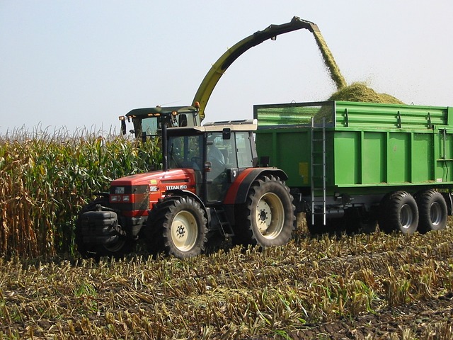 La máquina de arepas que mejora la productividad de los negocios - Equipos  Agroindustriales