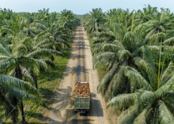 Financiamiento sostenible del BBVA a la agroindustria de América Latina y el Caribe