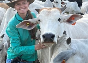 Mujer exhibe ganado cebuino en la feria ganadera Expozebu 2023, destacando la calidad de la raza.