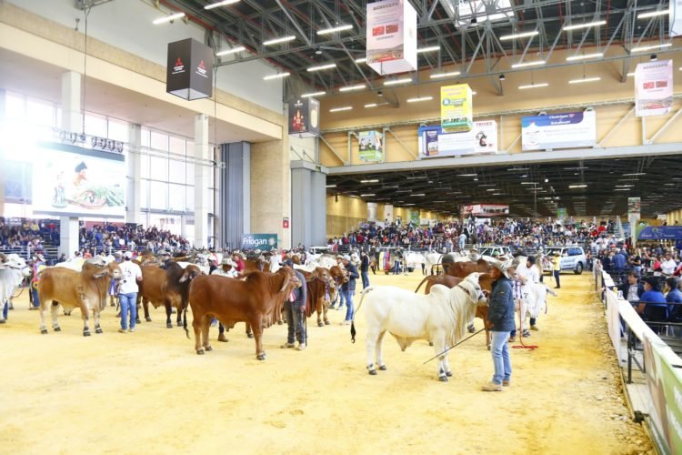 El agro del mundo en Bogotá