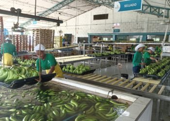 La transparencia de Banacol ante supuestas acciones al margen de la ley