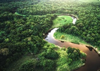 Zonas de Reserva Forestal en Colombia