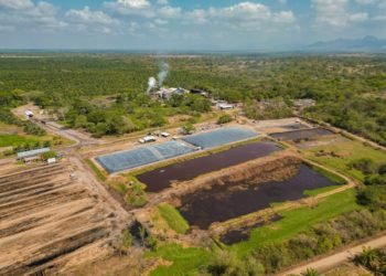Primera planta de generación de energía limpia a partir de biogás