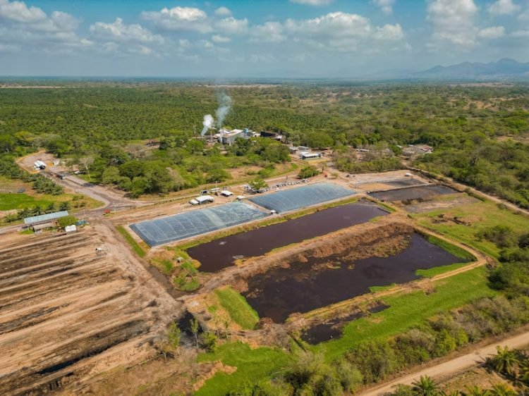 Primera planta de generación de energía limpia a partir de biogás