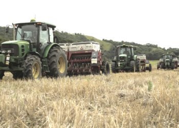 La Organización Pajonales, tecnología y sostenibilidad  