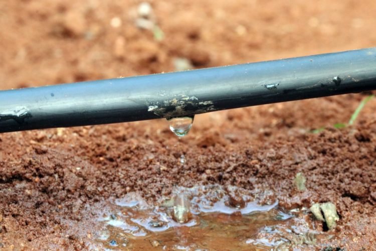 Optimización de recursos hídricos