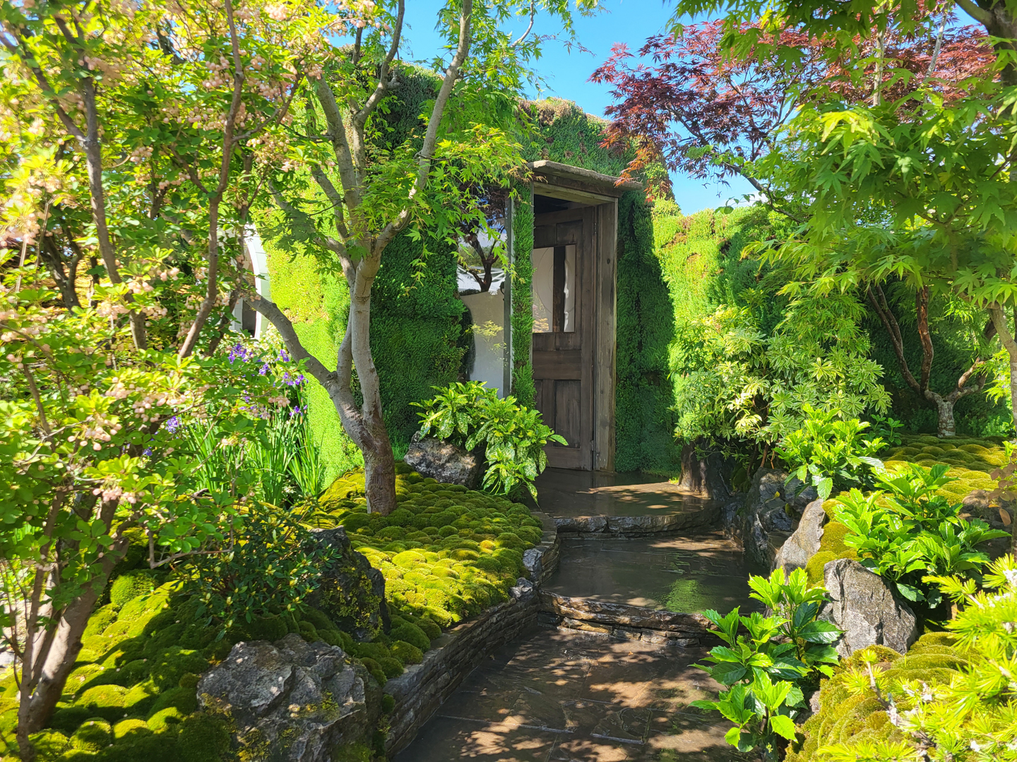 Jardín japonés MOROTO no IE en la exhibición floral Chelsea 2024.