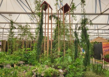 The Size of Wales Garden” (El jardín del Tamaño de Gales) exhibido en la feria floral de Chelsea 2024