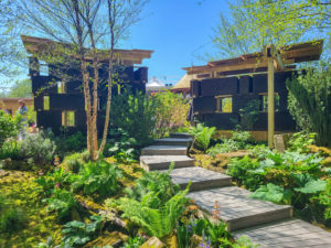 The National Autistic Society Garden - Chelsea Flower Show 2024