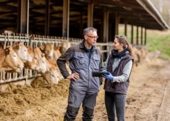 La importancia de la zootecnia en las actividades agropecuarias