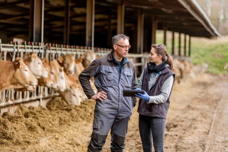 La importancia de la zootecnia en las actividades agropecuarias