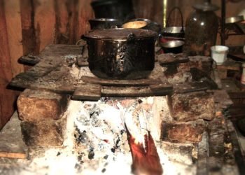 “Derecho a los alimentos, para una vida y un futuro mejores”, FAO.