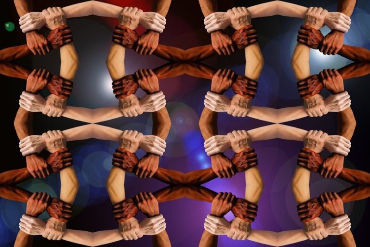 Éxito de la XI Convención Financiera Cooperativa, Fecolfin 2024