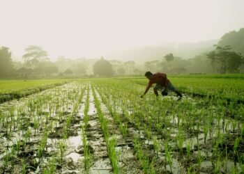 Reindustrialización multisectorial para emprendedores y pymes