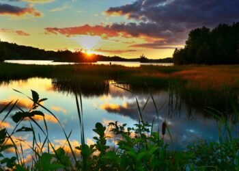 Los grandes eventos agroindustriales de fin de 2024