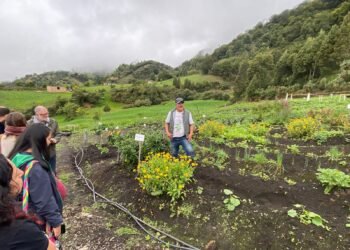 Inteligencia para la sostenibilidad y la inclusión social en los sistemas agroalimentarios en Colombia