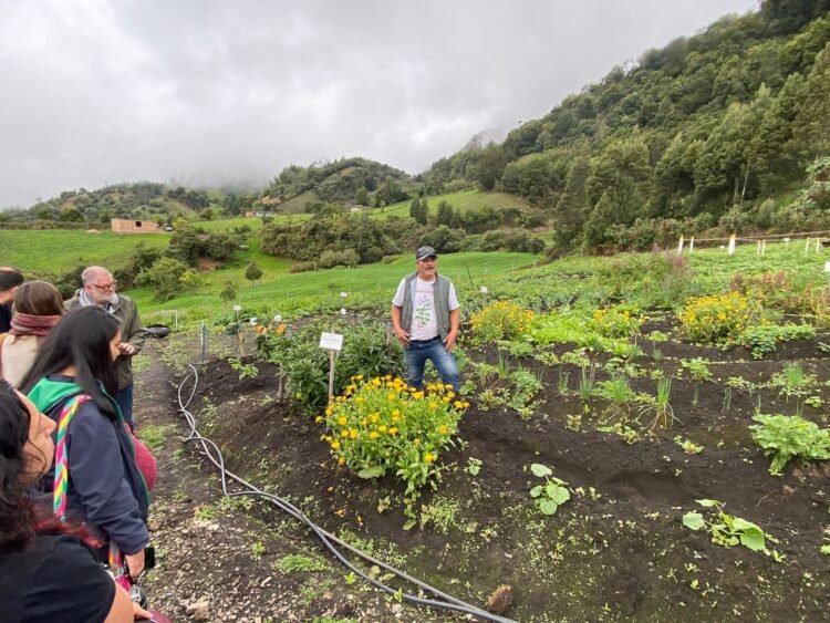 Inteligencia para la sostenibilidad y la inclusión social en los sistemas agroalimentarios en Colombia