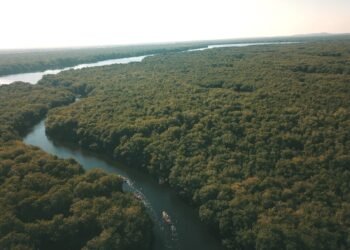 Inversiones en el agro y los ecosistemas de Sucre, Colombia