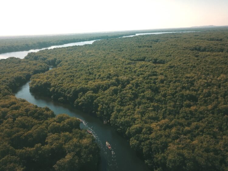 Inversiones en el agro y los ecosistemas de Sucre, Colombia