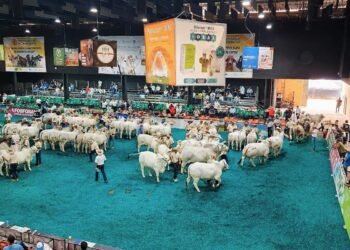 Viene Agroferia en Bucaramanga, el principal evento del nororiente de Colombia