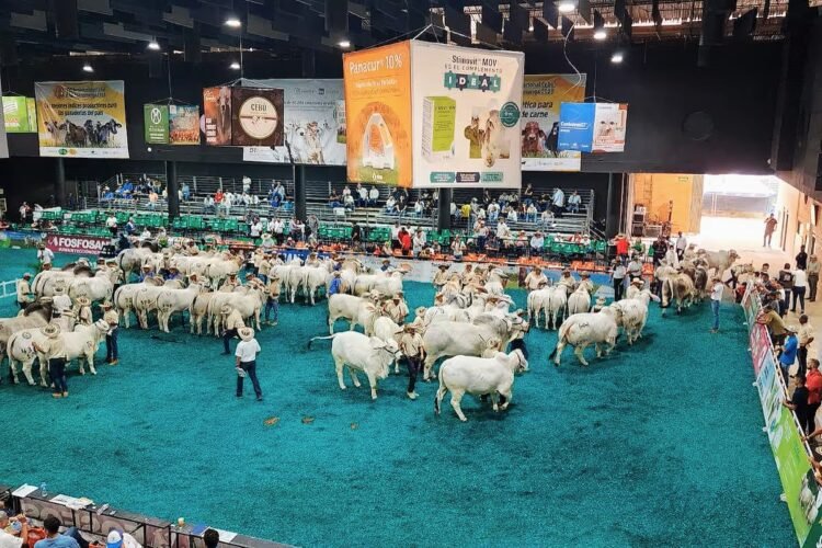 Viene Agroferia en Bucaramanga, el principal evento del nororiente de Colombia