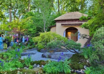 Jardín de Té Japonés. Premio Jardín del Año en el RHS Chelsea 2025.