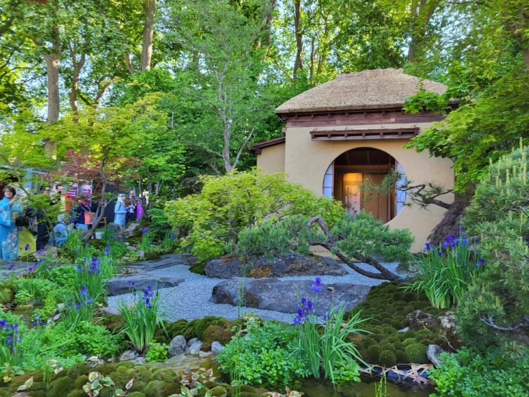 Jardín de Té Japonés. Premio Jardín del Año en el RHS Chelsea 2025.