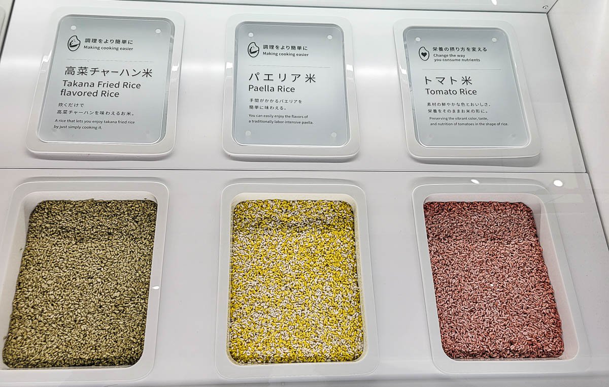 Granos de arroz regenerado en diferentes variedades como Takana, paella y tomate, que representan avances en sostenibilidad e innovación alimentaria.