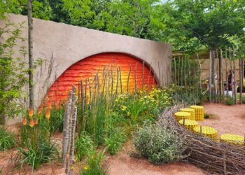 Jardín de exhibición inspirado en el aniversario del musical El Rey León, presentado en RHS Hampton Court Palace Garden 2024.