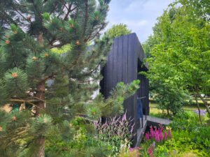 Sendero elevado de madera en jardín The Sounds of Adventure Garden, rodeado de vegetación.