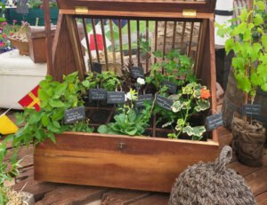 Armario con plantas (Kent Wildflower Seeds)