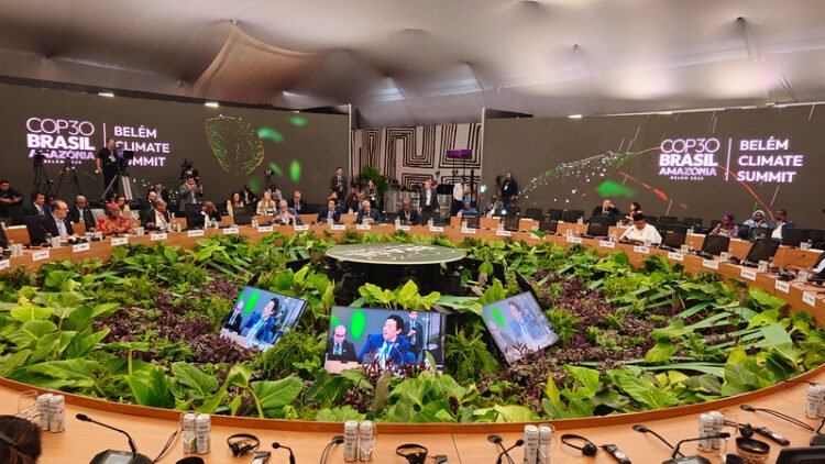 La FAO en la COP30: Las soluciones agroalimentarias ayudan a reducir las emisiones
