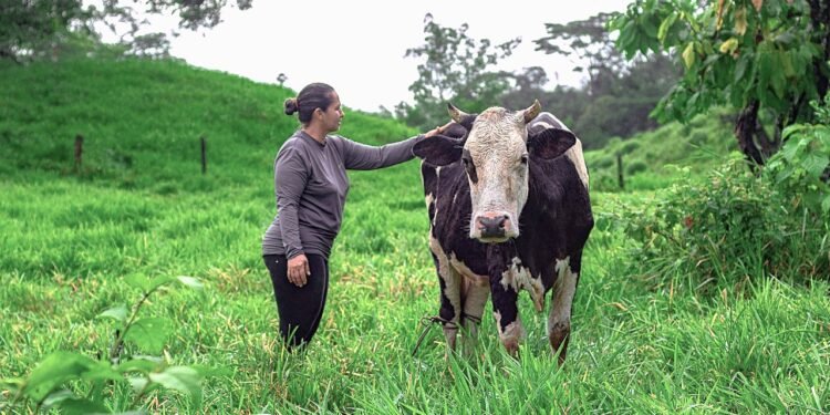 La resistencia a los antimicrobianos (RAM), gran preocupación mundial