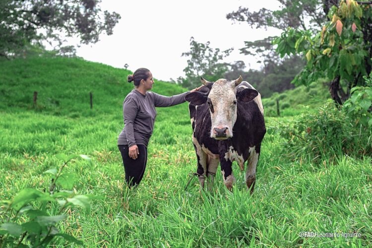 La resistencia a los antimicrobianos (RAM), gran preocupación mundial