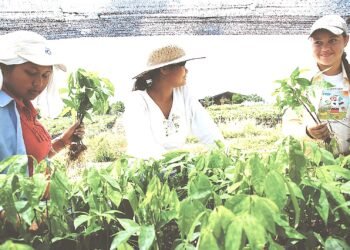 EL 2026, Año Internacional de la Mujer Productora Rural