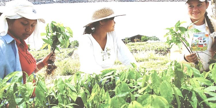 EL 2026, Año Internacional de la Mujer Productora Rural