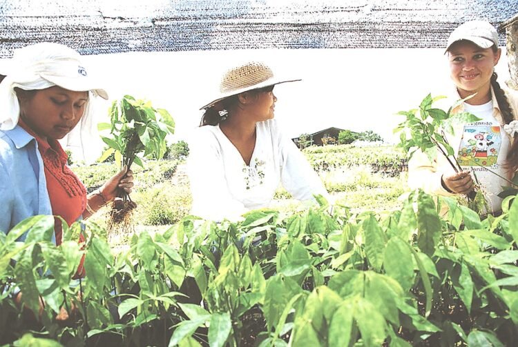 EL 2026, Año Internacional de la Mujer Productora Rural