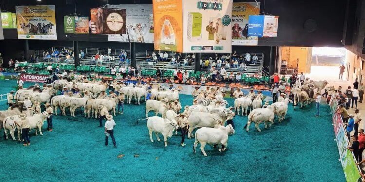 Agroferia 2026 en Bucaramanga