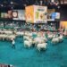 Agroferia 2026 en Bucaramanga