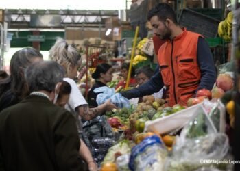 FAO y la ruta invisible de los alimentos