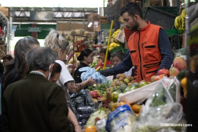 FAO y la ruta invisible de los alimentos