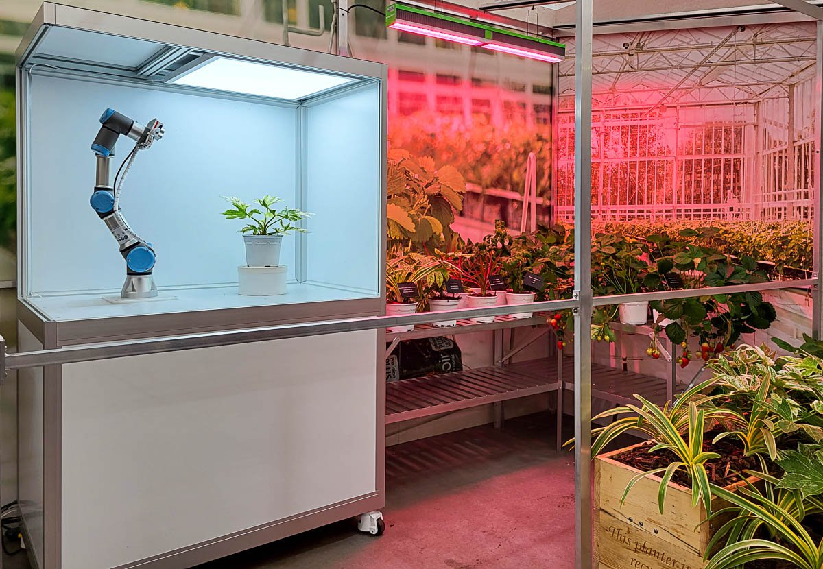 Robot agrícola registrando las características físicas de una planta.