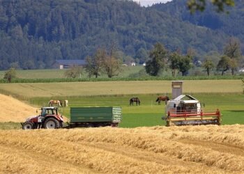 SOFI 2026: “El hambre no es inevitable”, FAO.