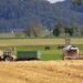SOFI 2026: “El hambre no es inevitable”, FAO.