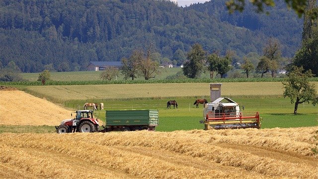 SOFI 2026: “El hambre no es inevitable”, FAO.